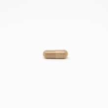 Load image into Gallery viewer, reishi mushroom pill capsule supplements | daily vitamin packs | vitarx