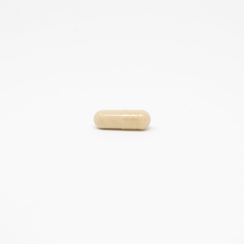 milk thistle capsule supplements | daily vitamin packs | vitarx