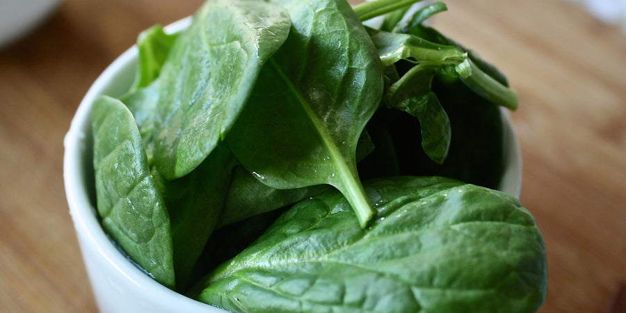 spinach in a white bowl with lots of iron