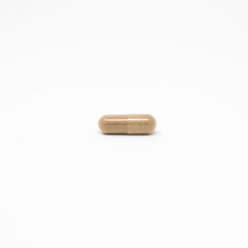 reishi mushroom pill capsule supplements | daily vitamin packs | vitarx