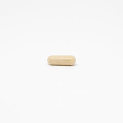 milk thistle capsule supplements | daily vitamin packs | vitarx